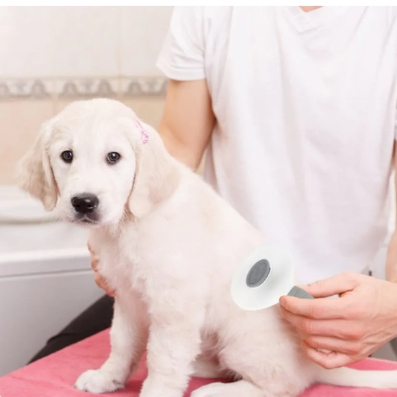 Self Cleaning Slicker Brush - Picture 2 of 7